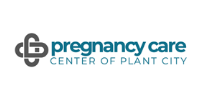 logo-pregnancy care